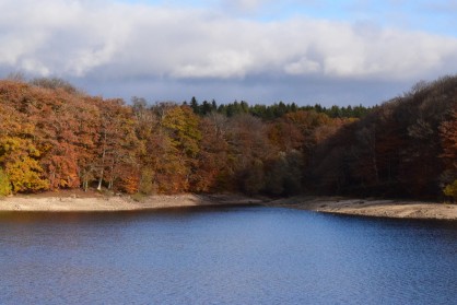 DSC_0292.JPG
