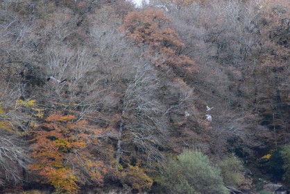 DSC_0281.JPG