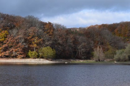 DSC_0270.JPG