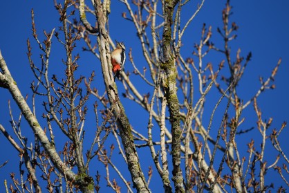 DSC_0258.JPG