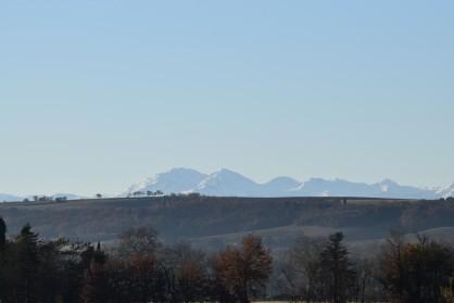 DSC_0241.JPG