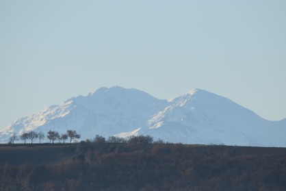 DSC_0242.JPG
