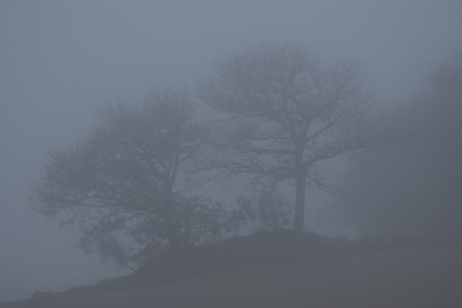 DSC_0367.JPG