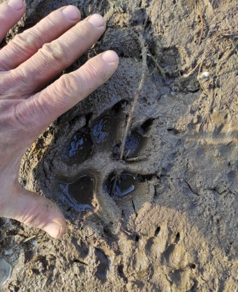IMG_20220125_121541.jpg