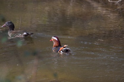 DSC_0279.JPG