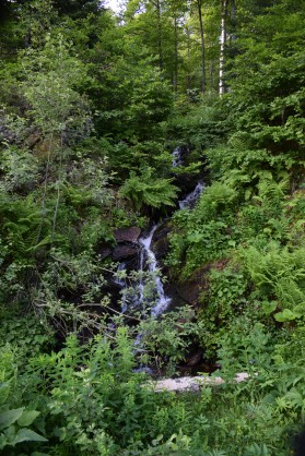 Petite cascade