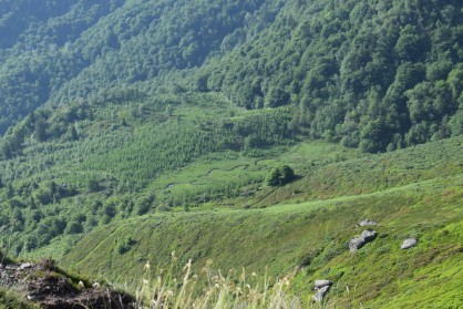 Le ruisseau d'Aygues Tortes