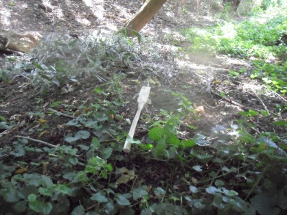 SAM_6857.JPG (1.86 Mio) Vu 1684 fois spatule hors sol