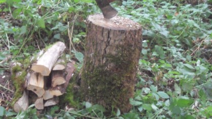SAM_7102.JPG (2.66 Mio) Vu 1524 fois du bois