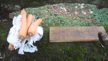 dans les bois