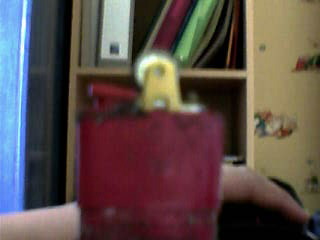 briquet de berger maison .jpg