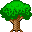 Big tree :bigtree: